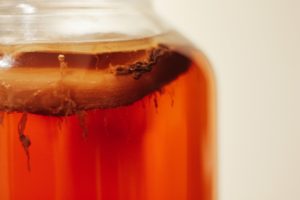 Kombucha SCOBY in a Glass Jar