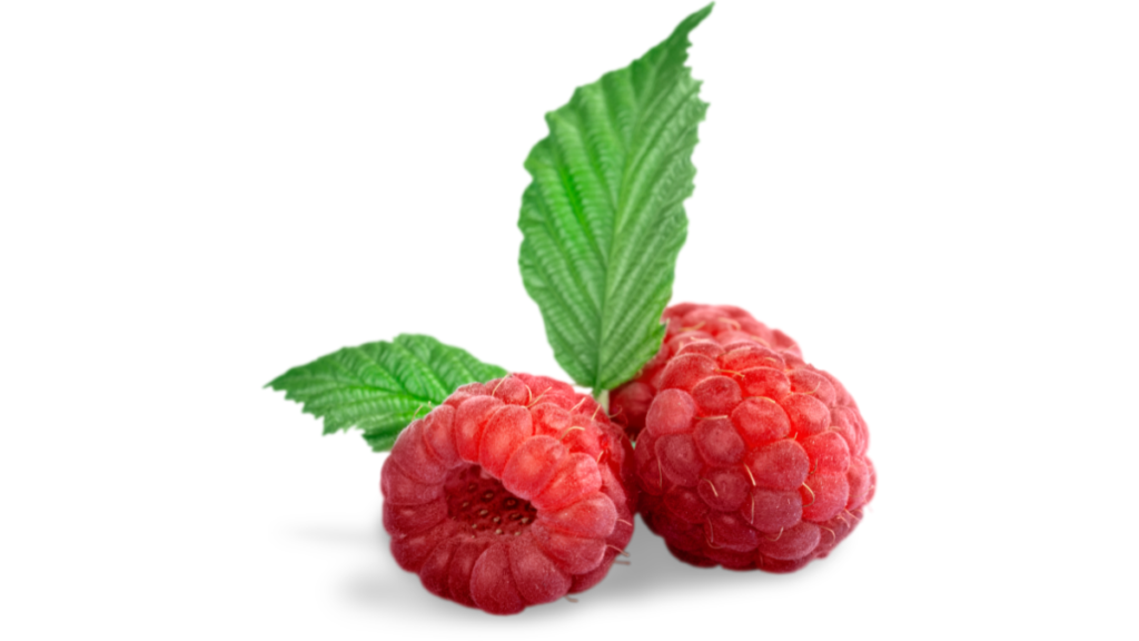 Fresh raspberries