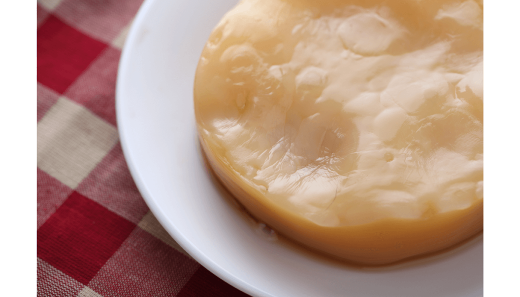 Kombucha SCOBY on a plate